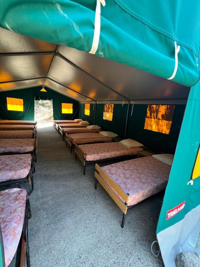 Relais International De La Jeunesse Calvi  Ngoại thất bức ảnh